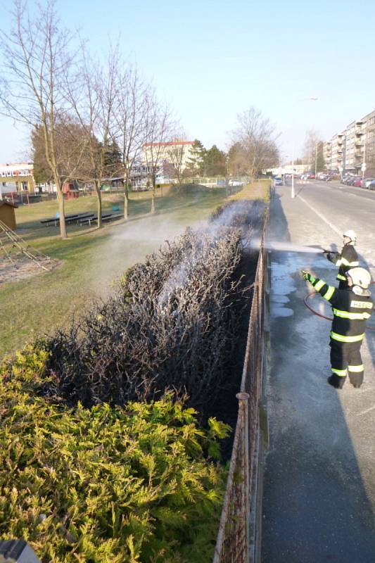 V pondělí také řešili hasiči několik požárů. V Malšovicích hasili požár travního porostu a náletových dřevin a živého plotu u školy. V Bělči pak hořel přístřešek u chaty.