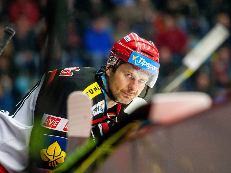 Hokejová extraliga: Mountfield HK - Bílí Tygři Liberec.