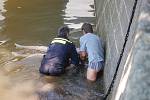 Stařenka spadla do Labe, lékaři ji resuscitovali