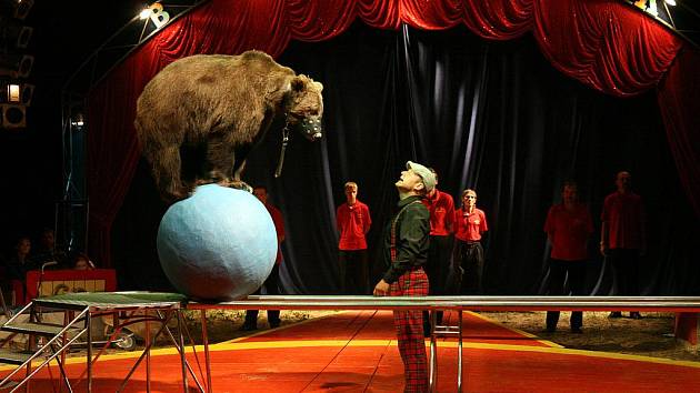Ludvík Berousek: Volný čas v cirkuse neznáme - Rychnovský deník