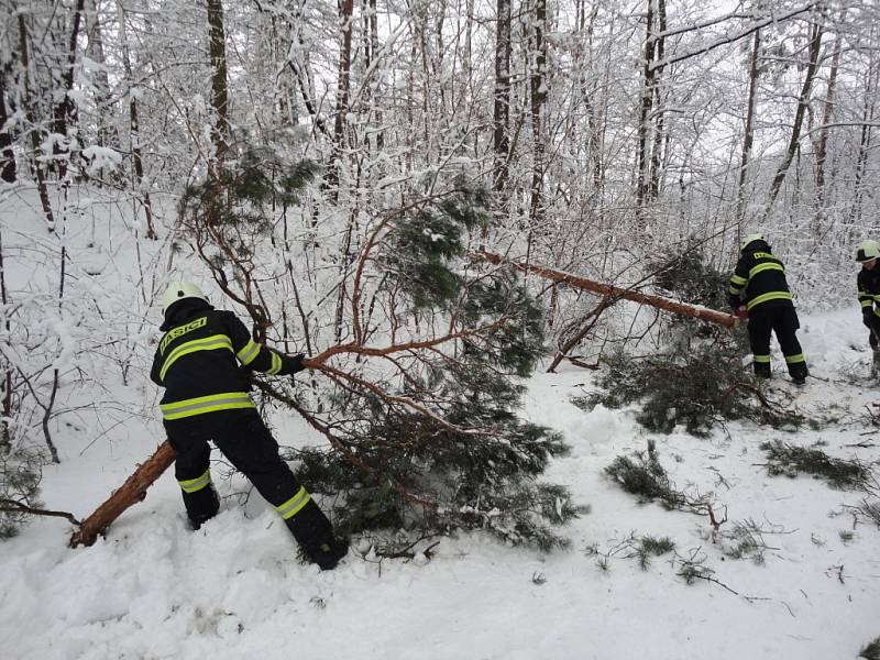 Hasiči odstraňují stromy a větve ve Vysoké nad Labem.