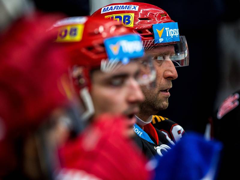 Hokejová extraliga: Mountfield HK - HC Kometa Brno.