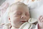 NELLA URBANOVÁ se narodila 18. června v 8:46 hodin. Měřila 46 centimetrů a vážila 2660 gramů. Maminka Michaela a tatínek Luděk jsou z Pardubic.