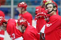 Hokejová European Trophy: Mountfield HK - EC Red Bull Salzburg.