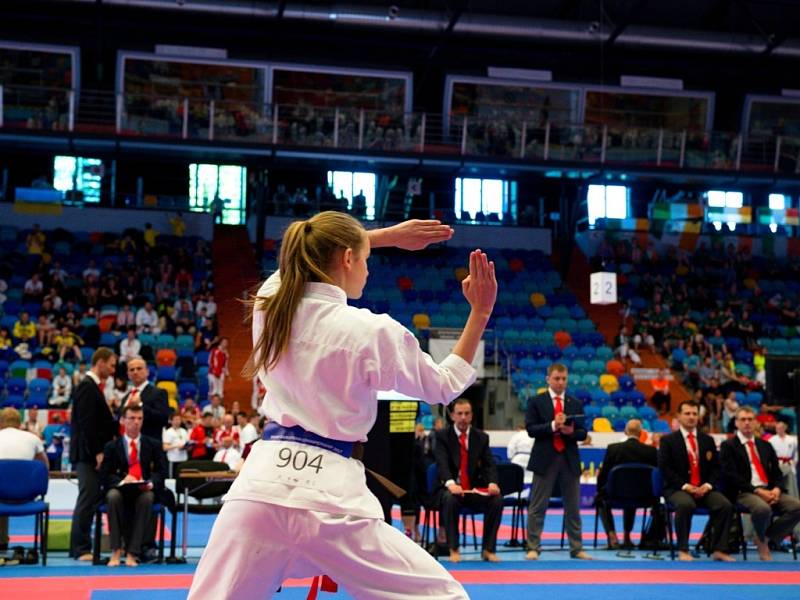 Mistrovství Evropy v karate v Hradci Králové.
