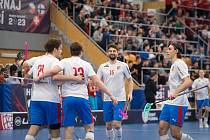 Český tým se raduje ze vstřelené branky do sítě Švýcarska během druhého přípravného zápasu v Hradci Králové.