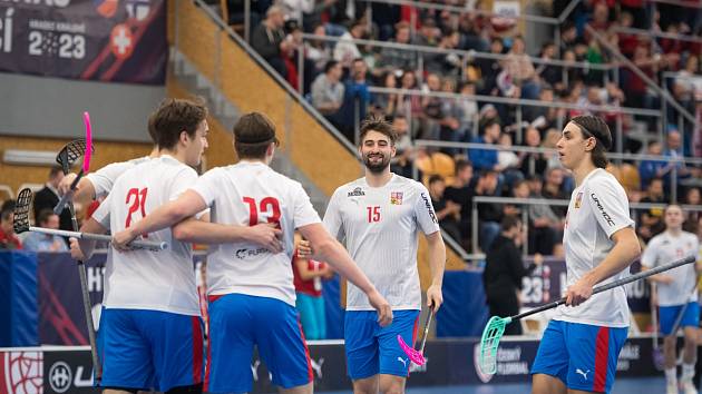 Český tým se raduje ze vstřelené branky do sítě Švýcarska během druhého přípravného zápasu v Hradci Králové.