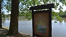 Rybník Cikán je kilometr o od domova. Tady policisté objevili tělo po 30 hodinách pátrání.