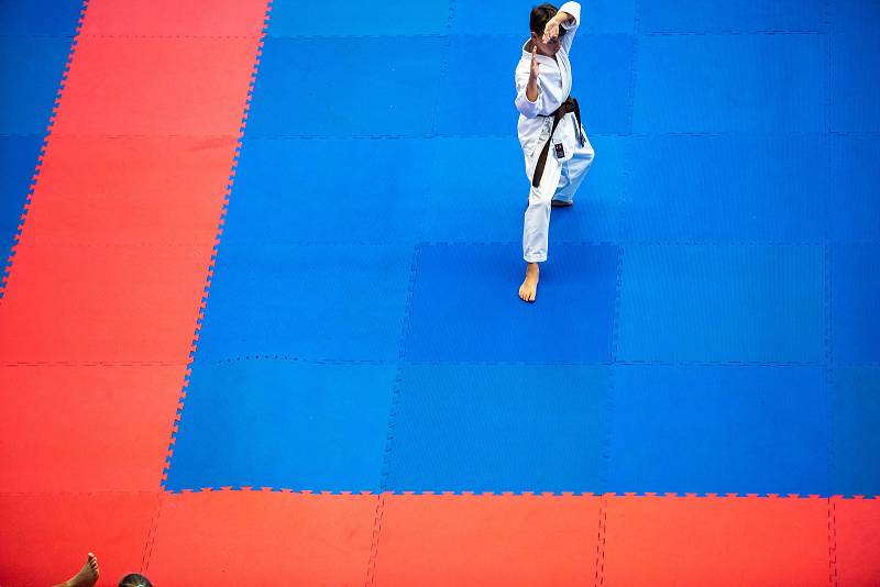 Mistrovství světa v karate v Hradci Králové.