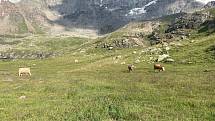 Itálie - Livigno