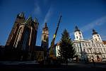 V Hradci Králové už stojí oba vánoční stromy