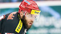 Tipsport extraliga ledního hokeje: Mountfield HK - Bílí Tygři Liberec.