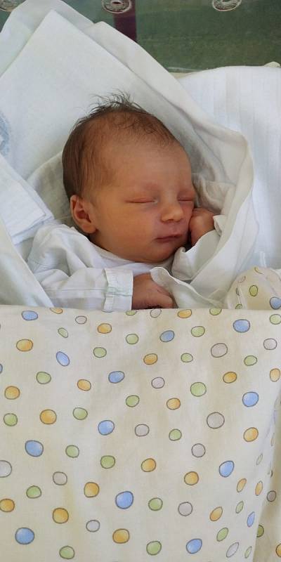 Patrik Kučera se narodil 28. března 2020 v 15:40 hodin v porodnici v Hradci Králové. Chlapeček měřil 50 centimetrů a vážil 3 110 gramů. Radují se z něho šťastní rodiče Michaela Höferová a Petr Kučera.