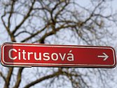Ulice Citrusová a Pod Haltýřem v hradeckých Svinarech.