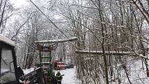 Následky sněhové kalamity v Krkonoších.
