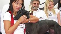 Greyhound Day, svátek greyhoundů na závodišti chrtů v Praskačce u Hradce Králové s Heidi Janků.