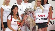 Greyhound Day, svátek greyhoundů na závodišti chrtů v Praskačce u Hradce Králové s Heidi Janků.