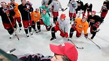Prvoligoví hokejisté HC VCES Hradec Králové vstoupili do druhé fáze přípravy. Vyjeli na led malé haly ČEZ Stadionu