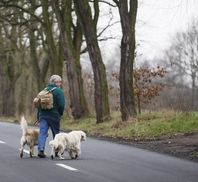 Silnice vedoucí z Malšovy Lhoty do Svinar.