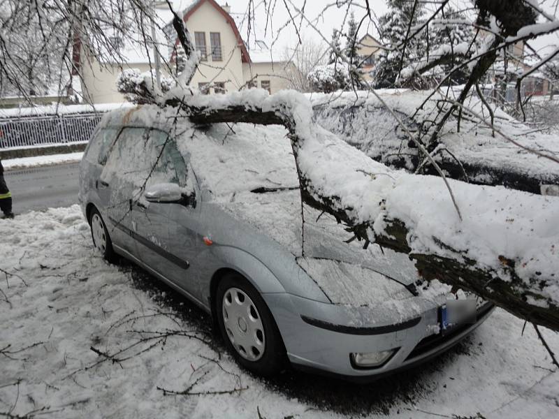 Vyvrácený strom ohrožoval automobily stojící na parkovišti v hradecké ulici Bratří Štefanů.