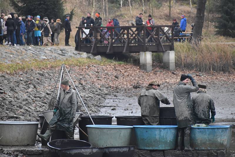 Stovky lidí se přišly podívat do královéhradeckých městských lesů na tradiční výlov Výskytu.