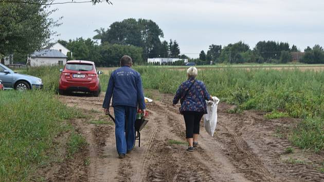 Ucpaná silnice u pole a něm stovky lidí, kteří si přišli nasbírat levnější brambory a cibuli.