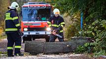 Zásah hasičů v Královéhradeckém kraji v souvislosti se silným větrem.