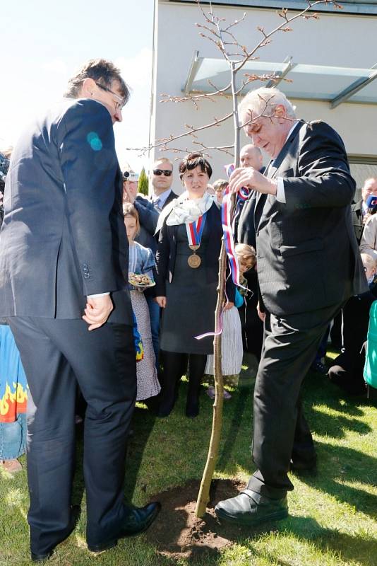 Prezident Miloš Zeman navštívil ve středu 16. dubna 2014 během své třídenní návštěvy Královéhradeckého kraje také obec Holovousy na Jičínsku. Zasadil zde lípu, podepsal se do místní kroniky a dekoroval obecní prapor.