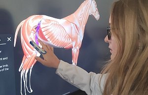 Virtuální pitevní stůl slouží k výuce anatomie na Střední odborné škole veterinární v Hradci Králové.