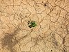 Velké sucho: na Velkomeziříčsku nabádají k šetření vodou