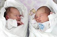 Dvojčata Natálie Lippertová a Jakub Lippert se narodila 4. listopadu, Natálka přišla na svět v 9.32 hodin a Jakoubek jen o minutu později, v 9.33 hodin. Natálie měřila 49 centimetrů a vážila 2820 gramů, její bratr Jakub měřil 50 cm a vážil 3460 gramů.
