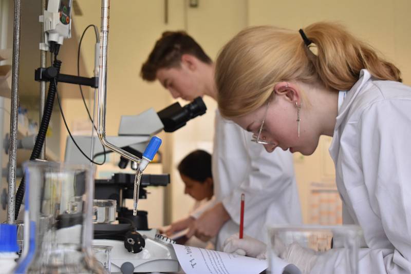 Celkem 42 týmů z 20 zemí Evropské unie se sjelo do Hradce Králové. Na univerzitě soutěží v Evropské olympiádě experimentální vědy.