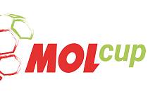 Tuzemský pohár MOL Cup má dnes na programu zápasy 2. kola. Do bojů zasáhne i pětice týmů z východočeského regionu.