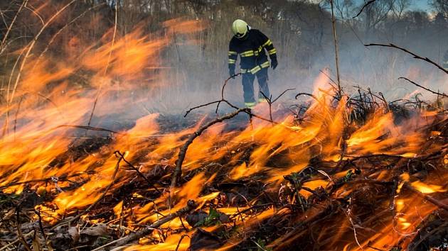 Kvůli hrozbě požárů meteorologové doporučují nerozdělávat oheň v přírodě. Ilustrační foto.