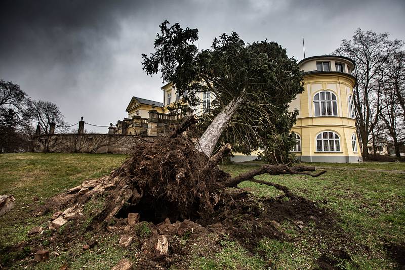 Následky vichřice na Královéhradecku.