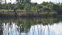 Laguna už slouží hlavně rybářům. Koupat se tady mohou jen obyvatelé Bělče nad Orlicí.