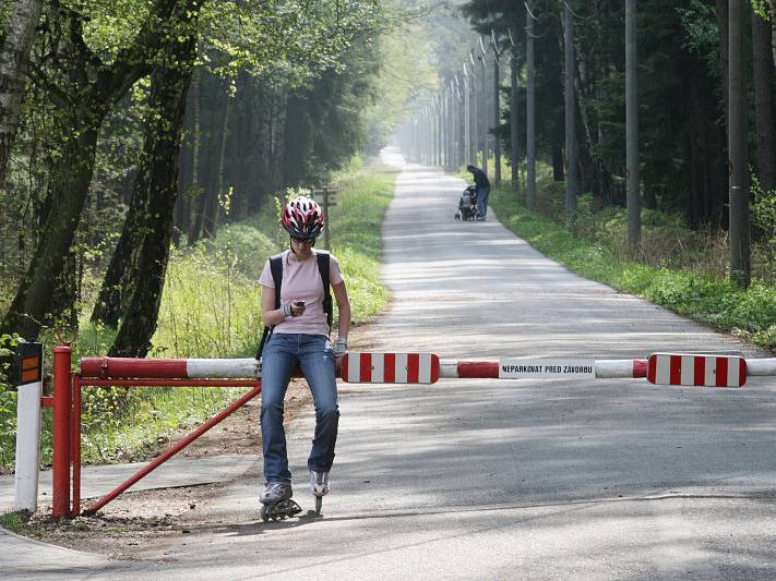 Na okraji města Hradec Králové v blízkosti lesního hřbitova vyroste nové parkoviště za 14 milionů korun. Parkoviště bude sloužit hlavně návštěvníkům městských lesů.