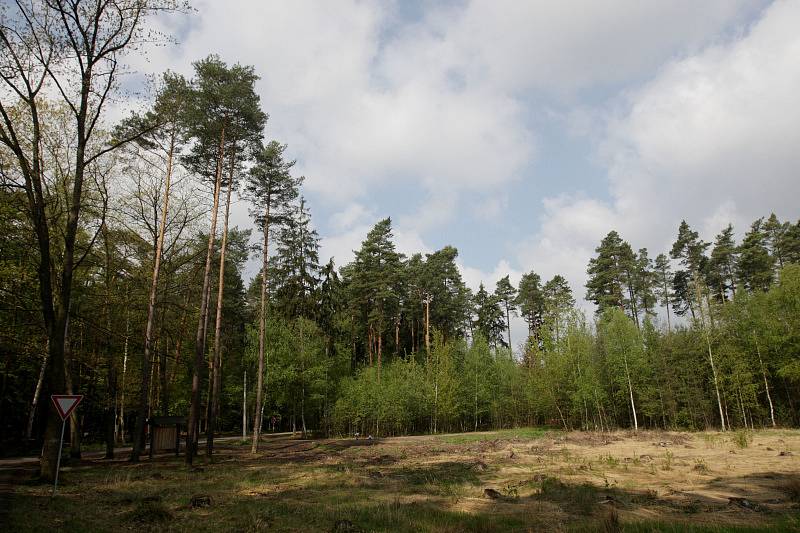 Na okraji města Hradec Králové v blízkosti lesního hřbitova vyroste nové parkoviště za 14 milionů korun. Parkoviště bude sloužit hlavně návštěvníkům městských lesů.