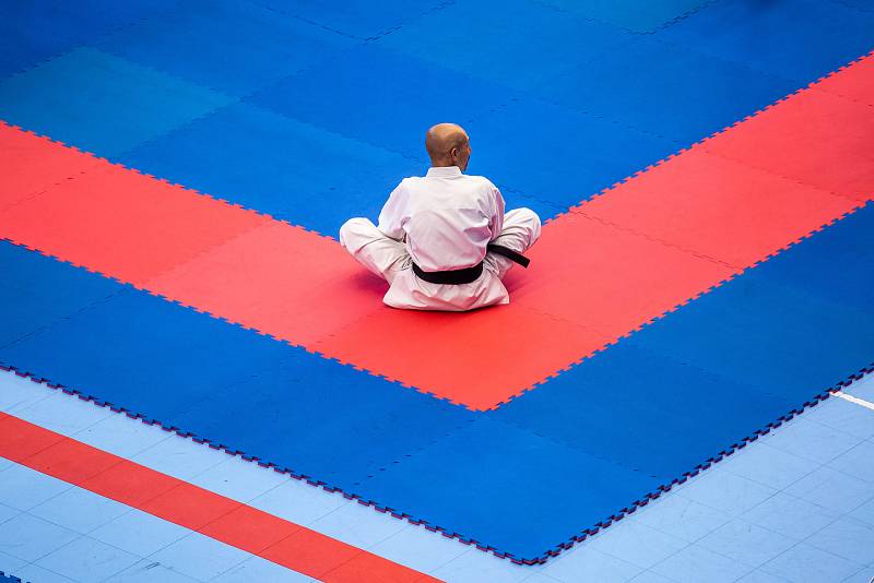 Mistrovství světa v karate v Hradci Králové.