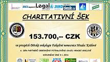 Charitativní šek ve výši 153 700 Kč ze Dne partnerů OFS Hradec Králové 2016.