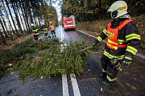 Hasiči na Královéhradecku zasahují u desítek případů popadaných stromů