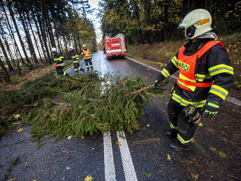 Hasiči na Královéhradecku zasahují u desítek případů popadaných stromů