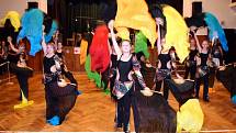 Taneční přehlídka nazvaná Barvy tance v sokolovně v Třebechovicích pod Orebem.