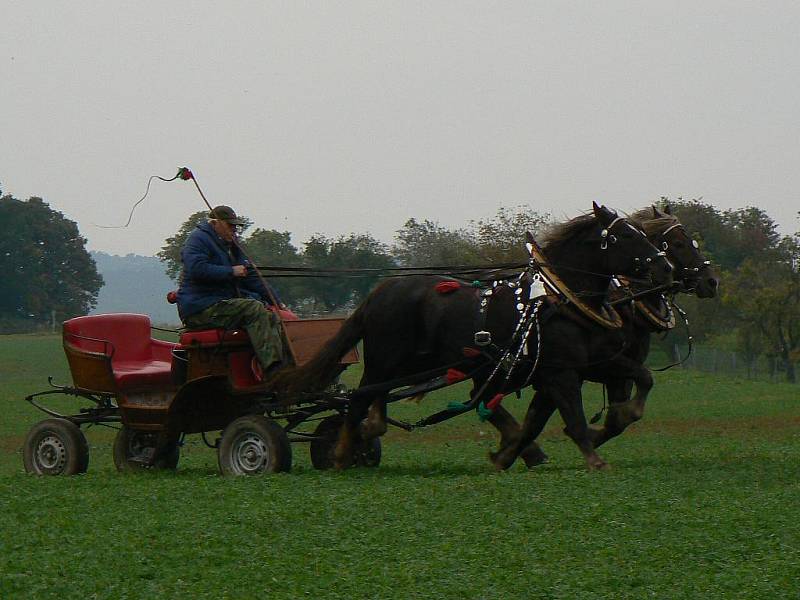 3. Hubertova jízda v Horních Černůtkách (sobota 25. září 2010).