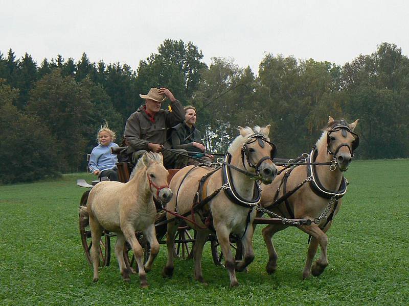 3. Hubertova jízda v Horních Černůtkách (sobota 25. září 2010).