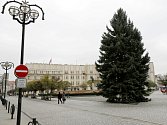 Vánoční strom na Masarykově náměstí v Hradci Králové.