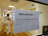 Zákaz návštěv ve Fakultní nemocnici Hradec Králové.
