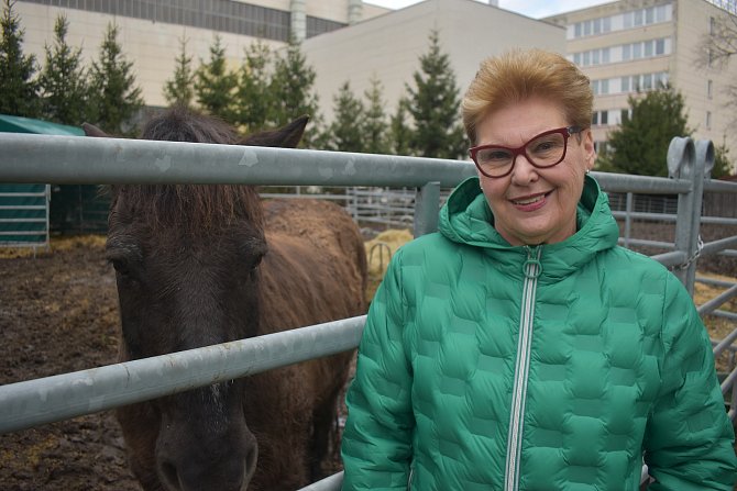 Ředitelka Střední odborné školy veterinární v Hradci Králové Hana Rubáčková.