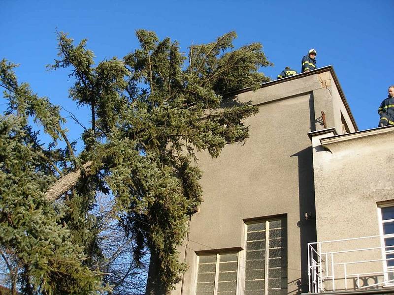 Vzrostlý strom nevydržel nápor větru a skácel se na rodinný dům v Novém Bydžově