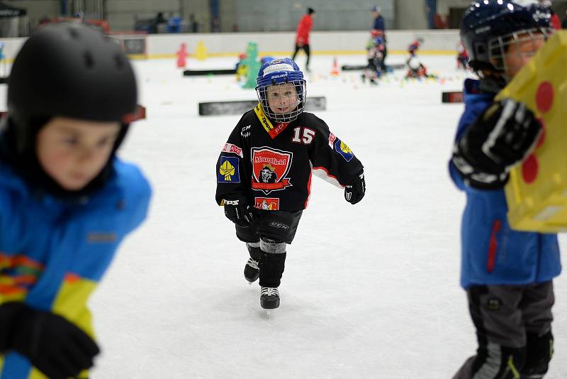 Akce Pojď hrát hokej v Hradci Králové za účasti hráčů extraligového týmu Mountfield HK Radka Smoleňáka a Bohumila Janka.